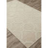 Jaipur Living Seneca White 20 X 30 Area Rug RUG129762 803-139458 Thumb 1