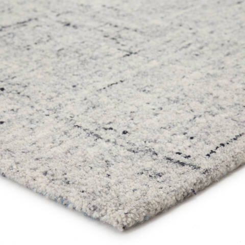 Jaipur Living Salix Grey 50 X 80 Area Rug RUG145052 803-139472 Image 1