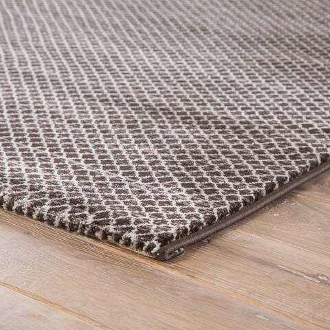 Jaipur Living Ventura Brown 20 X 30 Area Rug RUG133456 803-139658 Image 1
