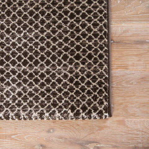 Jaipur Living Ventura Brown 20 X 30 Area Rug RUG133456 803-139658 Image 3