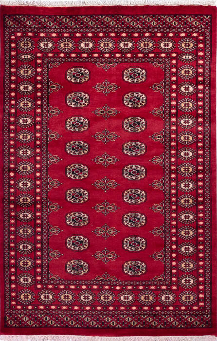 Bokhara Red Hand Knotted 40 X 62 Area Rug 700-139935 Image 0