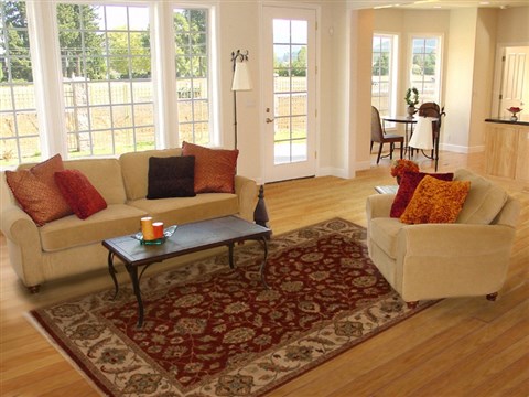 Ziegler Red Hand Knotted 511 X 91 Area Rug 251-14082 Image 4