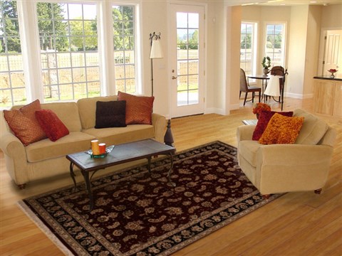 Sino-Persian Red Hand Knotted 59 X 89 Area Rug 251-14106 Image 4