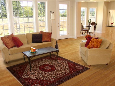 Abadeh Red Hand Knotted 50 X 82 Area Rug 251-14120 Image 4
