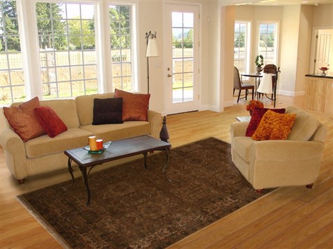 Agra Beige Hand Knotted 61 X 93 Area Rug 251-14130 Image 4