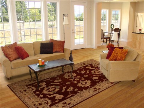 Pishavar Red Hand Knotted 511 X 90 Area Rug 251-14144 Image 4