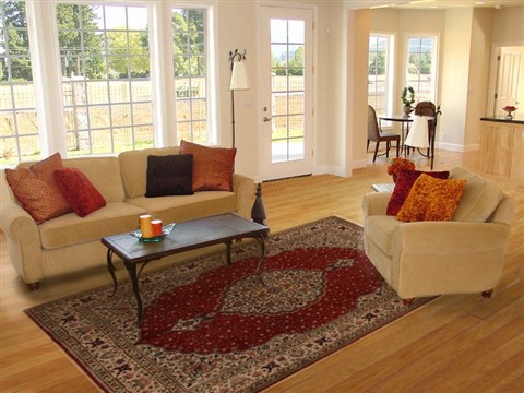 Tabriz Red Hand Knotted 82 X 110 Area Rug 251-14168 Image 4