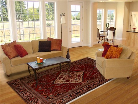 Lilihan Red Hand Knotted 77 X 104 Area Rug 251-14229 Image 4