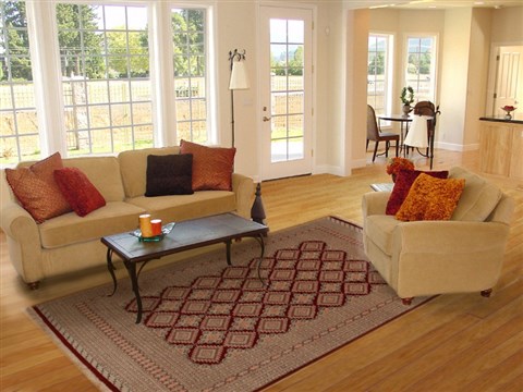 Bokhara Red Hand Knotted 80 X 100 Area Rug 251-14231 Image 4