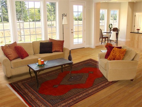 Mahal Red Hand Knotted 710 X 109 Area Rug 251-14234 Image 4