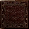 Herati Red Square Hand Knotted 80 X 80  Area Rug 251-14309 Thumb 0