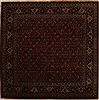Herati Red Square Hand Knotted 80 X 80  Area Rug 251-14309 Thumb 0