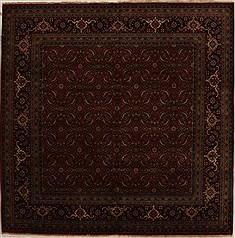 Indian Herati Red Square 7 to 8 ft Wool Carpet 14309