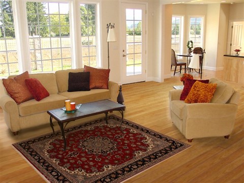 Tabriz Red Hand Knotted 50 X 68 Area Rug 251-14324 Image 5