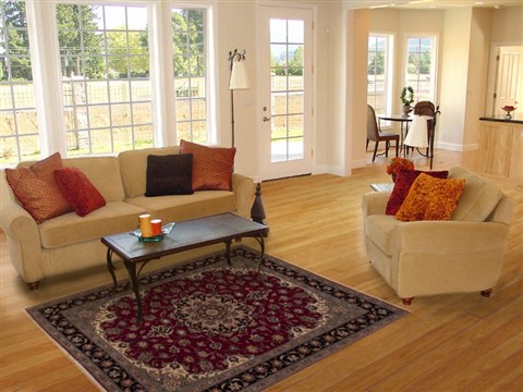 Tabriz Red Hand Knotted 53 X 611 Area Rug 251-14325 Image 5