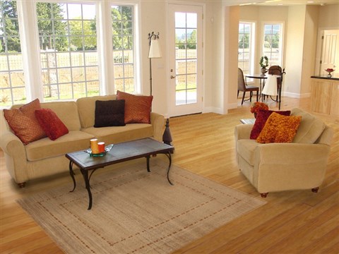 Gabbeh Beige Hand Knotted 410 X 67 Area Rug 251-14355 Image 5