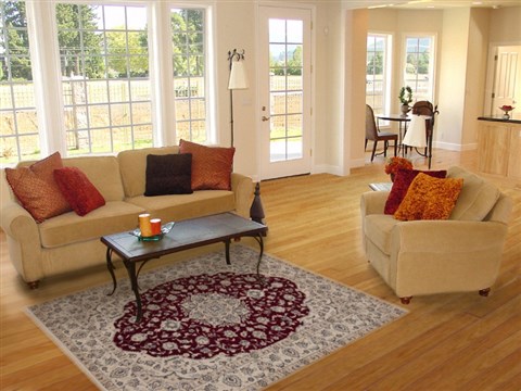 Nain Red Hand Knotted 48 X 70 Area Rug 251-14366 Image 5