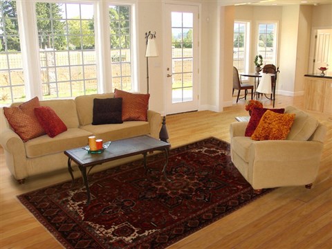 Heriz Red Hand Knotted 79 X 111 Area Rug 251-14393 Image 4