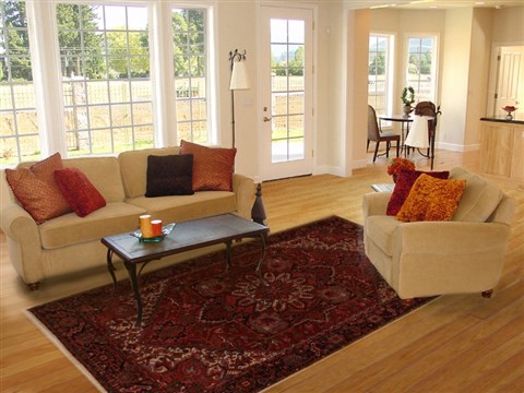 Heriz Red Hand Knotted 84 X 1011 Area Rug 251-14404 Image 4