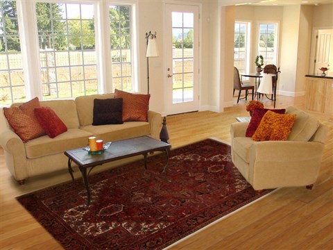 Heriz Red Hand Knotted 78 X 107 Area Rug 251-14409 Image 4