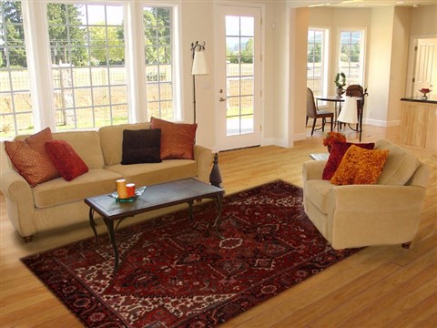 Heriz Red Hand Knotted 80 X 114 Area Rug 251-14410 Image 4