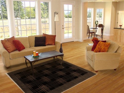 Pishavar Black Hand Knotted 48 X 67 Area Rug 251-14486 Image 5