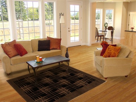 Pishavar Black Hand Knotted 47 X 68 Area Rug 251-14489 Image 5