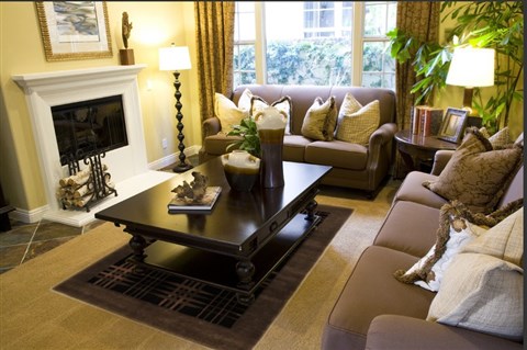 Pishavar Black Hand Knotted 48 X 67 Area Rug 251-14503 Image 3