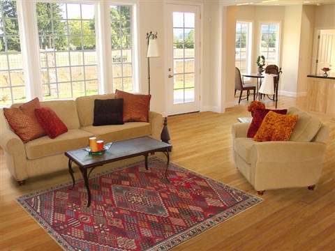 Joshaghan Red Hand Knotted 42 X 64 Area Rug 100-14766 Image 5