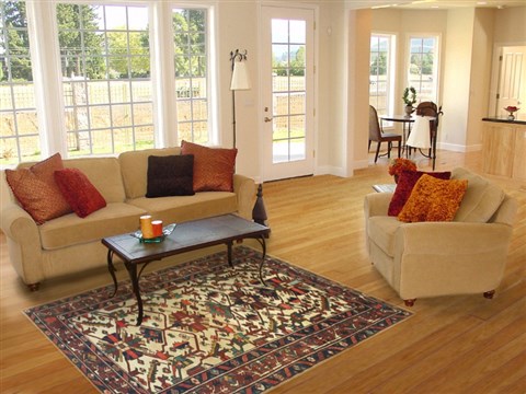 Bakhtiar Brown Hand Knotted 49 X 83 Area Rug 100-14831 Image 4