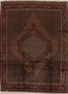 Sanandaj Multicolor Hand Knotted 8'6" X 11'6"  Area Rug 100-14926