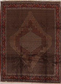 Sanandaj Multicolor Hand Knotted 8'6" X 11'6"  Area Rug 100-14926