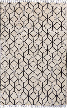 Pakistani Moroccan Beige Rectangle 4x6 ft Wool Carpet 140040