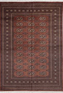 Bokhara Brown Hand Knotted 5'9" X 8'0"  Area Rug 700-140406