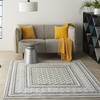 Nourison Calobra Grey 53 X 73 Area Rug 805-140903 Thumb 5