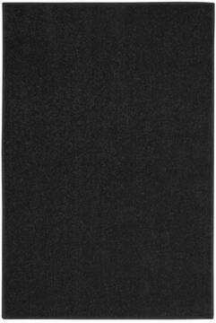 Nourison Nourison Essentials Black Rectangle 2x4 ft Polypropylene Carpet 141829