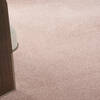 Nourison Nourison Essentials Purple 80 X 100 Area Rug 805-141863 Thumb 4