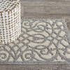 Nourison Palamos Beige 22 X 39 Area Rug 805-141920 Thumb 3