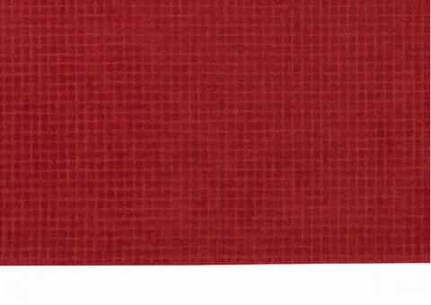 Nourison Las Vegas Red Runner 23 X 76 Area Rug 805-143127 Image 3