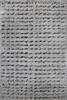 Shaggy Beige Shaggy 40 X 60 Area Rug 902-143397 Thumb 0