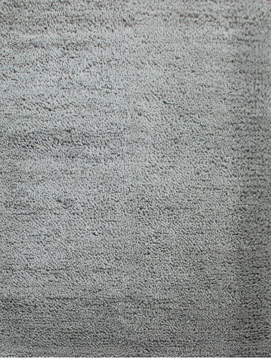 Shaggy Beige Shaggy 46 X 61 Area Rug 902-143401 Image 0