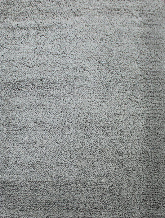 Shaggy Beige Shaggy 30 X 50 Area Rug 902-143402 Image 0