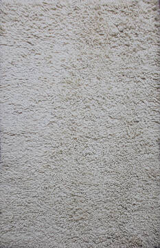 Shaggy Beige Shaggy 4'0" X 6'0"  Area Rug 902-143403