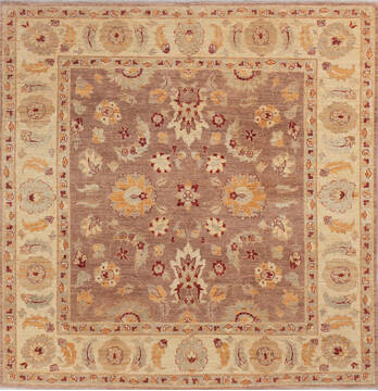 Chobi Brown Square Hand Knotted 6'7" X 6'9"  Area Rug 700-143449