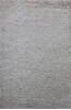 Shaggy Grey Shaggy 40 X 60 Area Rug 902-143495 Thumb 0