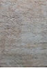 Shaggy Beige Shaggy 56 X 79  Area Rug 902-143501 Thumb 0