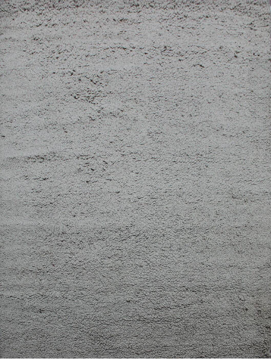 Shaggy Grey Shaggy 58 X 80 Area Rug 902-143504 Image 0