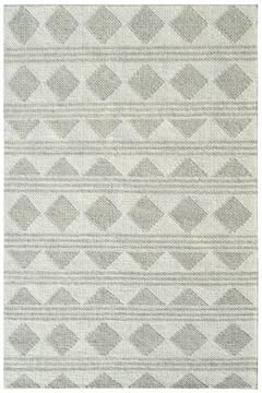 Dynamic AVA Grey 5'0" X 8'0" Area Rug AD695202910 801-143712