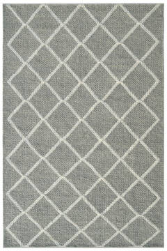 Dynamic AVA Grey 5'0" X 8'0" Area Rug AD695203910 801-143713