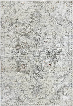 Dynamic CAPELLA Grey 2'0" X 3'11" Area Rug CW247977999 801-143803